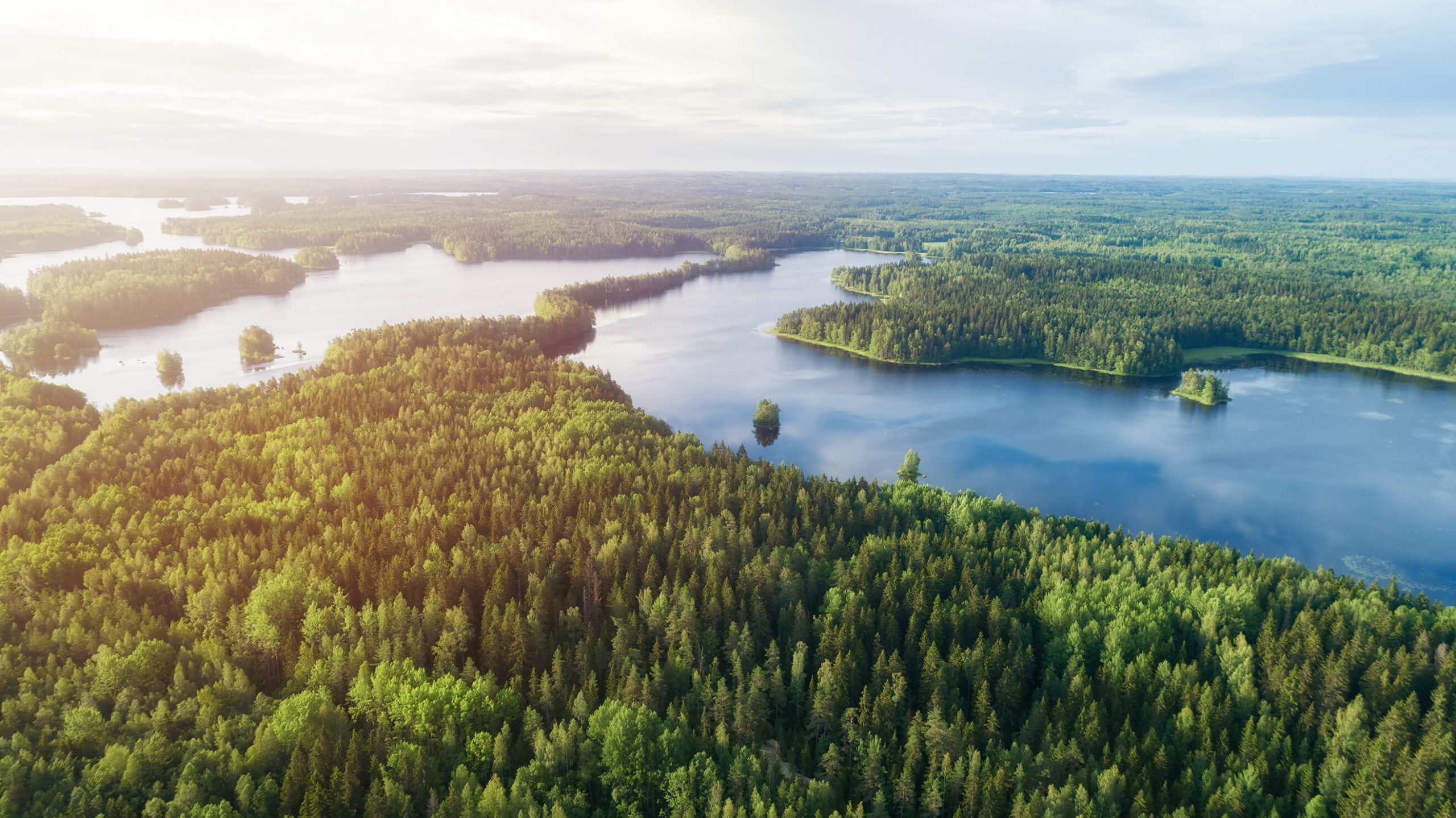 フィンランドの湖と森を上空から