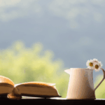 【よむエラマ】SNSを休むのが怖い私を変えた、一冊の『自分を許すノート』。取り残される喜び（JOMO）への旅